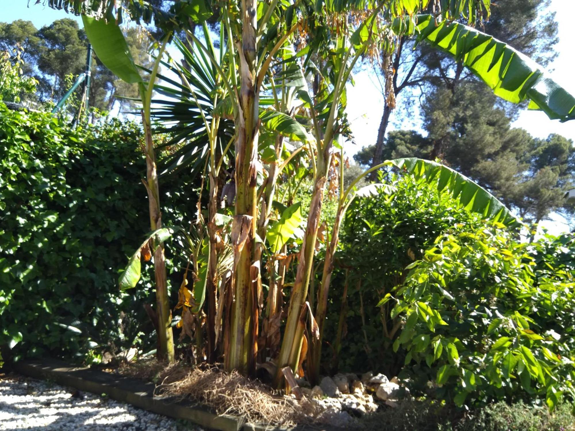 Villa Del Bosque Castelldefels Dış mekan fotoğraf